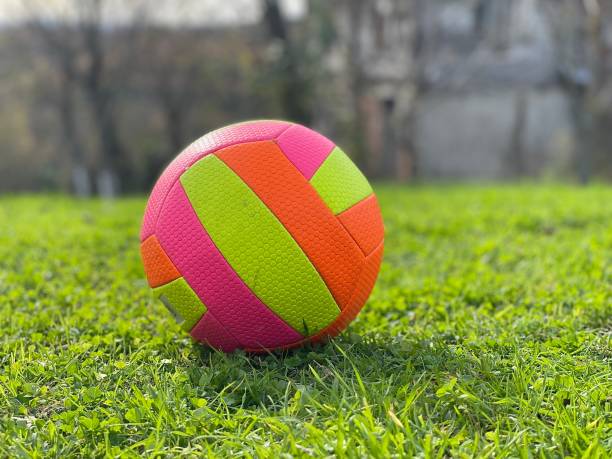 istock Vibrant colorful ball on green grass 2042510233