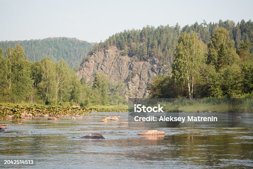 River flowing among trees, rocks, with mountains in the backdrop