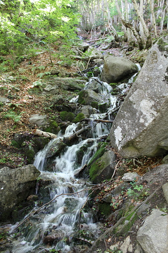 small waterfall in the middle of the forest