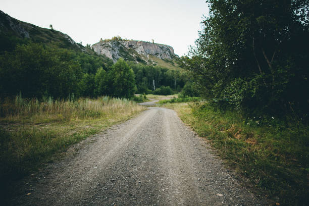 A scenic dirt road winding through a lush forest with a towering mountain in the background, under a clear blue sky