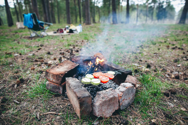 A fire pit surrounded by trees in the woods with vegetables cooking on it, creating a natural landscape for food preparation and recreation