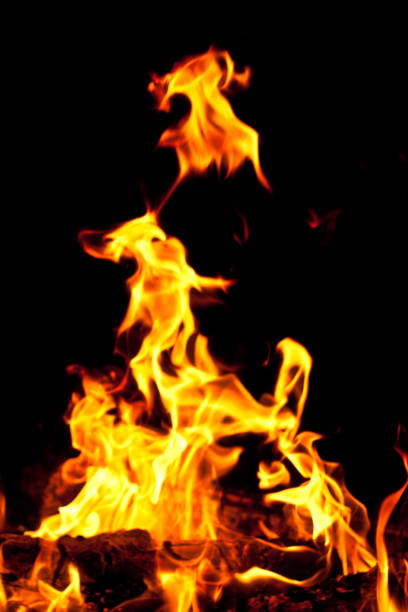 A mesmerizing closeup of a bonfire blazing against a dark background, illuminating the darkness with its dancing flames and intense heat