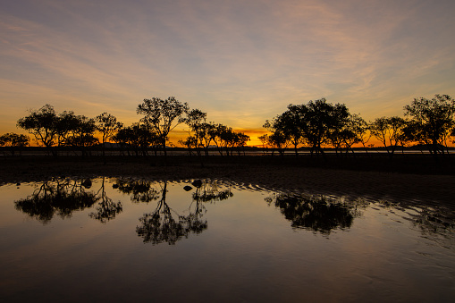 Some mangroves and tree reflection in water at sunset in Mackay, Queensland, Australia