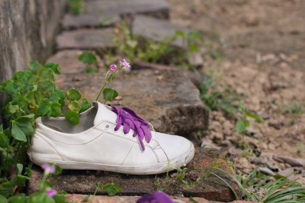 istock Single white sneaker with purple laces beside pink flowers on a brick surface evoking a sense of abandonment or loss in a rustic outdoor setting 2042553326