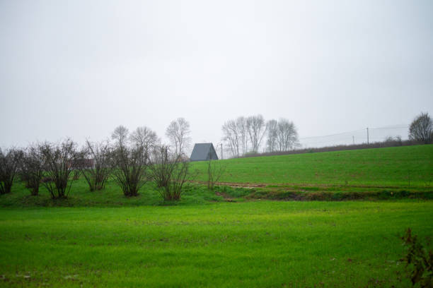 Wooden barn against a vibrant green hillside, showcasing rural life. Idyllic countryside scene with solitary trees.K