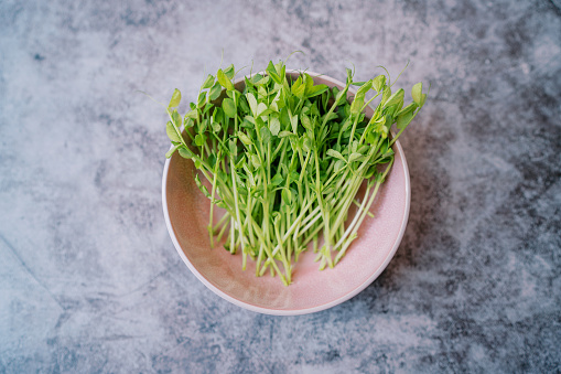 Green pea microgreens lie in a deep pink plate on a marble table. Top view. High quality photo