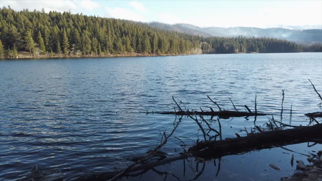 Golden Splendor: Duffy Lake Amidst the Pines