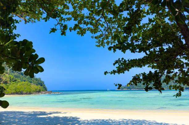 白いビーチの自然の島のシーンとして青い水を持つ熱帯の島