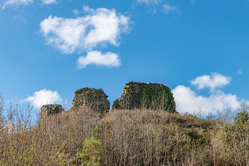 Plympton Castle Ruins