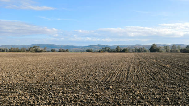 istock arable land in bright autumn day in Vojvodina 2042592676