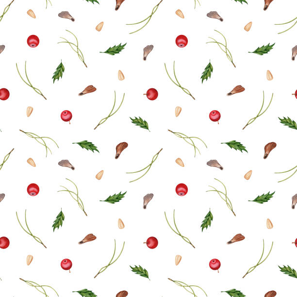 seamless pattern with hand drawn pine needles, berries, leaves, seeds. watercolor illustration isolated on white background. forest repeatable background for textile, fabric, wallpaper, wrapping paper - pine nut pine seed white background stock illustrations