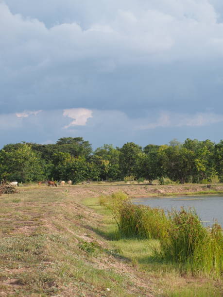istock South asia nature 2042612898