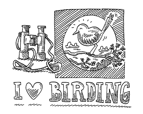 Hand-drawn vector drawing of an I Love Birding Binoculars Concept. Black-and-White sketch on a transparent background (.eps-file). Included files are EPS (v10) and Hi-Res JPG.