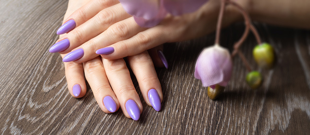 Stylish trendy nail young woman hands violet manicure on background.