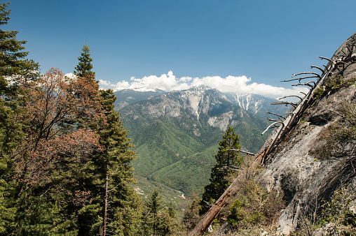 Beauty of nature at Yosemite National Park
