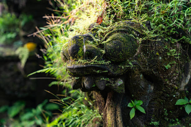 Stone dragon head sculpture with green moss growing on its surface. The sculpture is in a forest clearing, with sunlight filtering through the leaves of the trees in the background. The ground is covered in fallen leaves and other debris. Ubud, Bali.