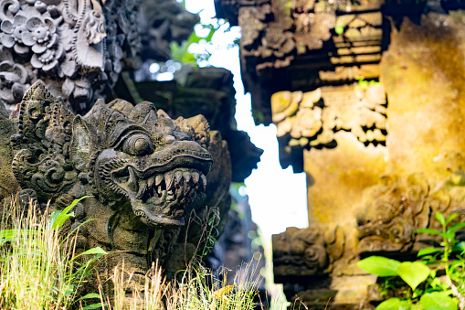 A close-up photo of a Balinese dragon statue, showing its intricate scales, teeth, and claws. The statue is made of gray stone and has a weathered appearance.Ubud, Bali.