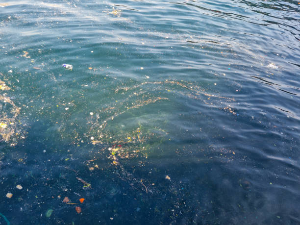 Environmental Issue plastic pollution in the sea