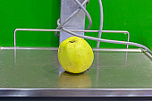 one green apple lies on the scales in the supermarket