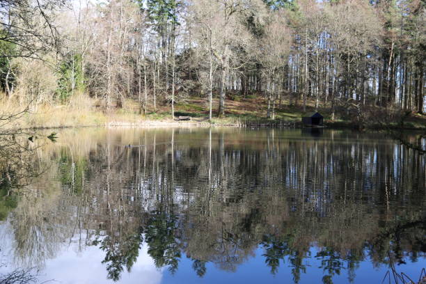 boathouse on the edge of a woodland lake in spring, with trees reflected in the still water - treelined forest at the edge of scenics stock-fotos und bilder