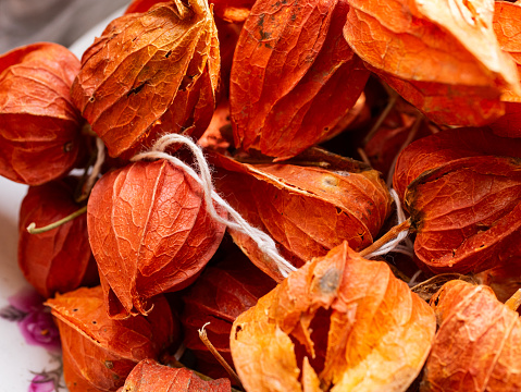 Lantern fruit, Cape gooseberry