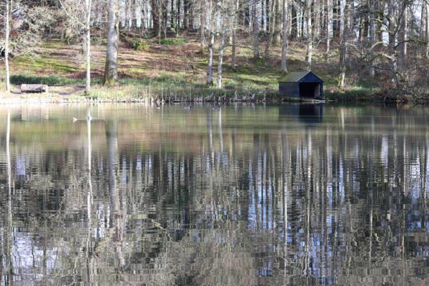 hangar à bateaux au bord d’un lac boisé au printemps, avec des arbres qui se reflètent dans l’eau calme - treelined forest at the edge of scenics photos et images de collection