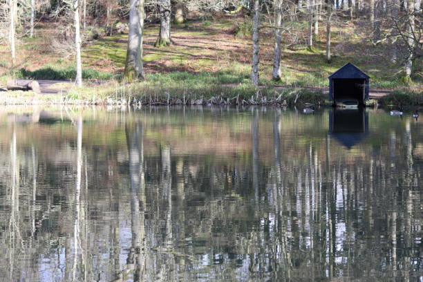 boathouse on the edge of a woodland lake in spring, with trees reflected in the still water - treelined forest at the edge of scenics - fotografias e filmes do acervo