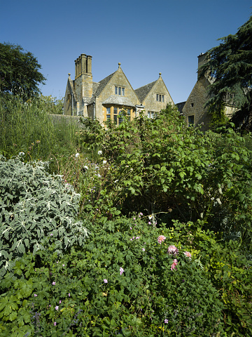 27th. February 2025 Hidcote Manor Gardens cotswolds Gloucestershire England UK. It is a sunny day and there are no visible people in picture.