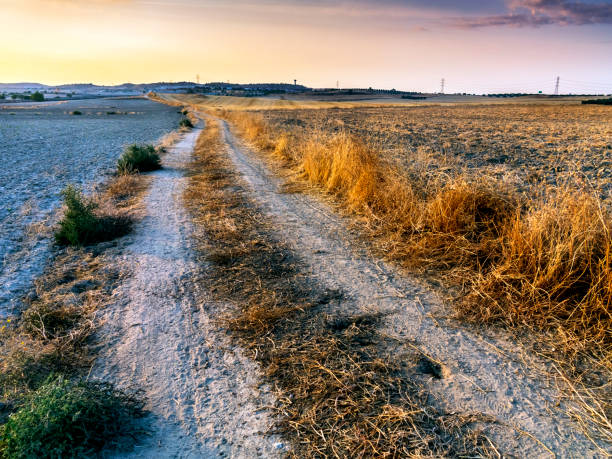 istock Ruts and dawn at Pantoja's road. 2042720427