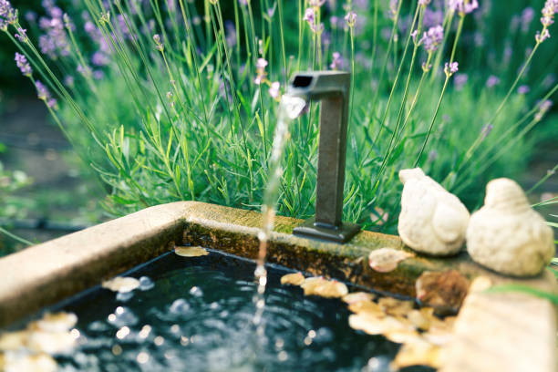 Garten Brunnen und Lavendel