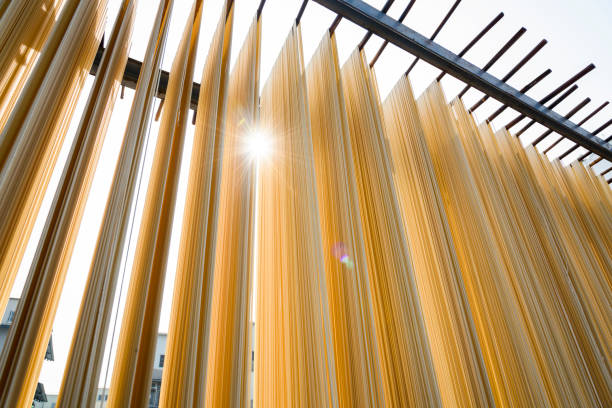istock Handmade noodles drying outdoors 2042720734