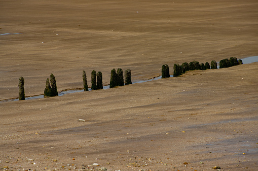 Old wood pillars in a row at the beach