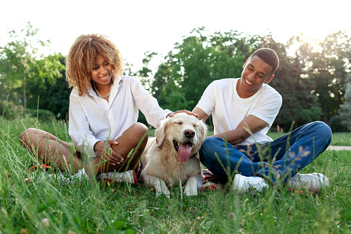 african american happy couple together with dog sit in park in summer and relax, man and woman hug and love golden retriever in nature, young family play with pet