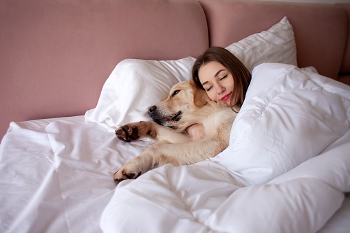 young girl in pajamas sleeps in bed with golden retriever dog, woman lies under blanket with pet and dreams