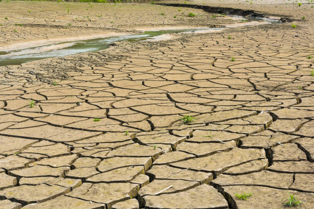istock Close-up of dry and cracked ground. 2042769596