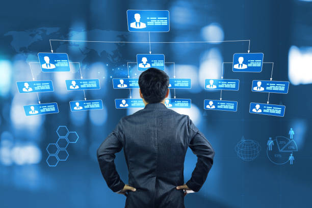 organization chart - organization chart decisions business business person 뉴스 사진 이미지