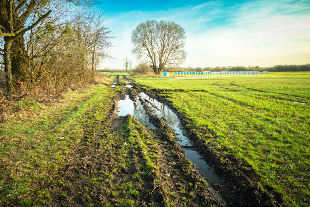 istock Puddles on a dirt road next to a meadow with a tree, spring day 2042796457