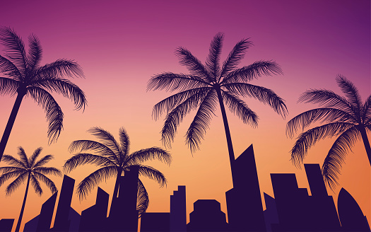 silhouette city skyline view with palm trees background vector illustrator