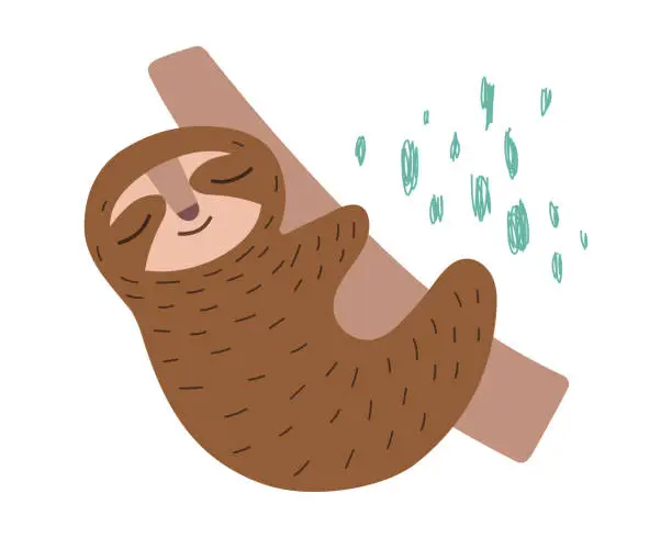 Vector illustration of Cute sloth on a tree. Vector baby illustration. Isolated element for your design