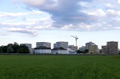 field of green cereals. Urban development against the sky with cumulus clouds