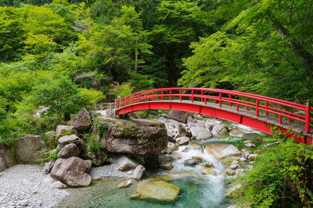 istock Red  