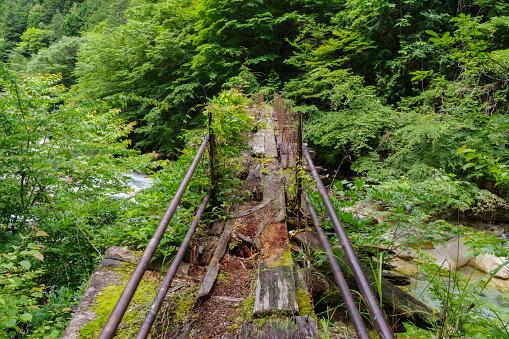 Atera Valley (near the forest railway bridge ruins).\nOkuwa Village, Kiso District, Nagano Prefecture.