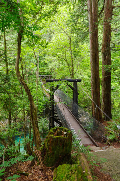 istock Akahiko Suspension Bridge in Atera Valley. 2042856356