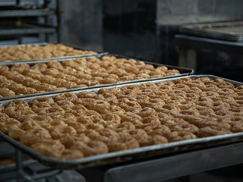 Cookie factory food industry Fabrication Cookie production