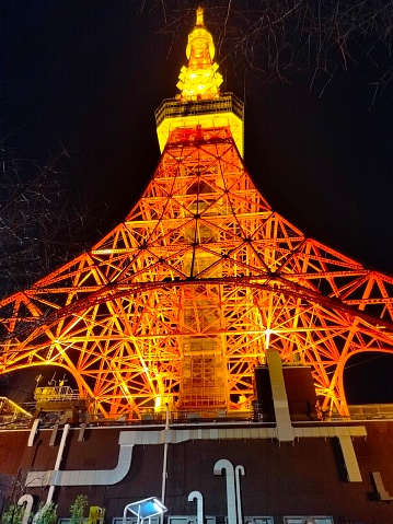 Upside View of Tokyo Tower