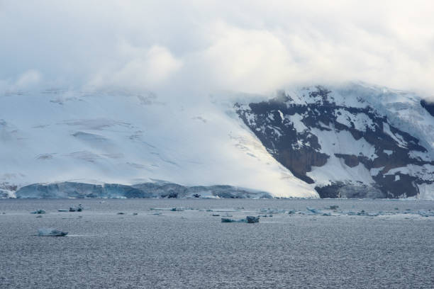 A tranquil ocean scene dotted with ice floes in front of a snow-capped mountain range in Antarctica
