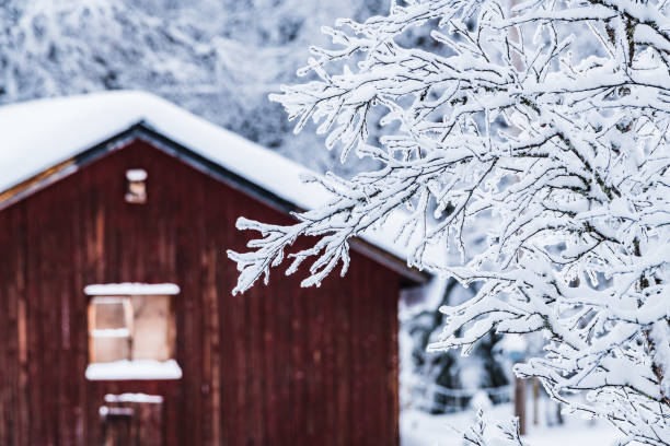 istock Snow covered branch in front of cabin 2042890855