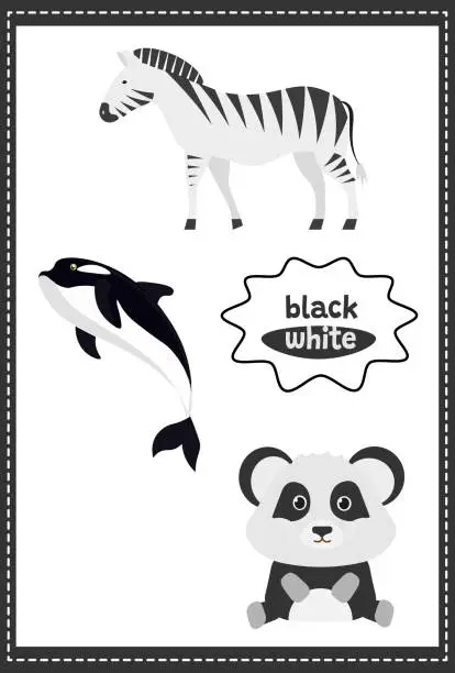 Vector illustration of Black and white color and objects.