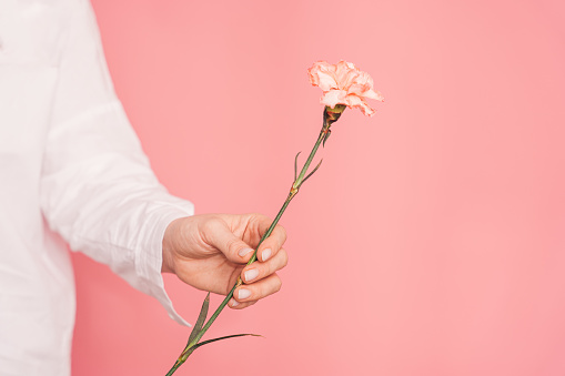 Lady in a white shirt holding one carnation against a pink background.