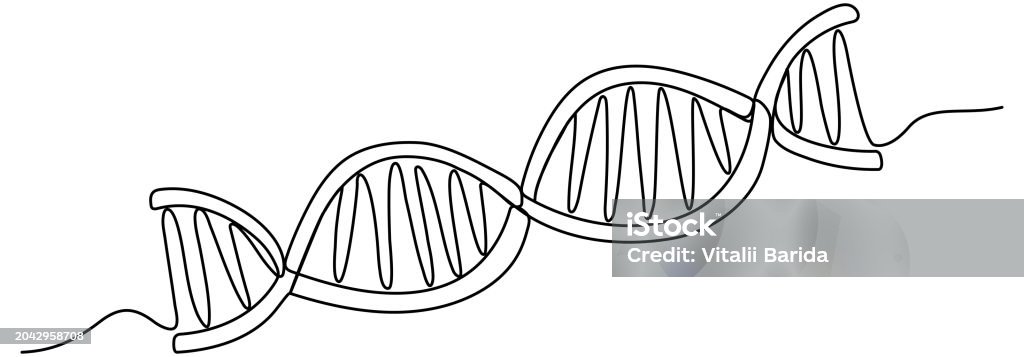 Isolated Dna Drawing Dna Continuous One Line Drawing Stock Illustration - Download Image Now ...